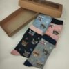 PACK CALCETINES GATITOS CON GAFAS